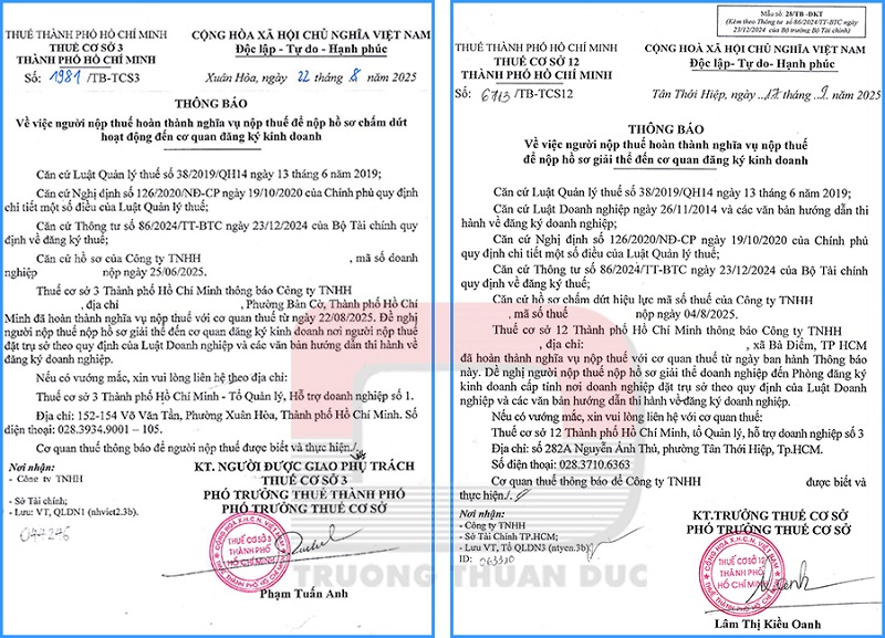 Dịch vụ giải thể doanh nghiệp uy tín, đúng luật tại TRƯỜNG THUẬN ĐỨC