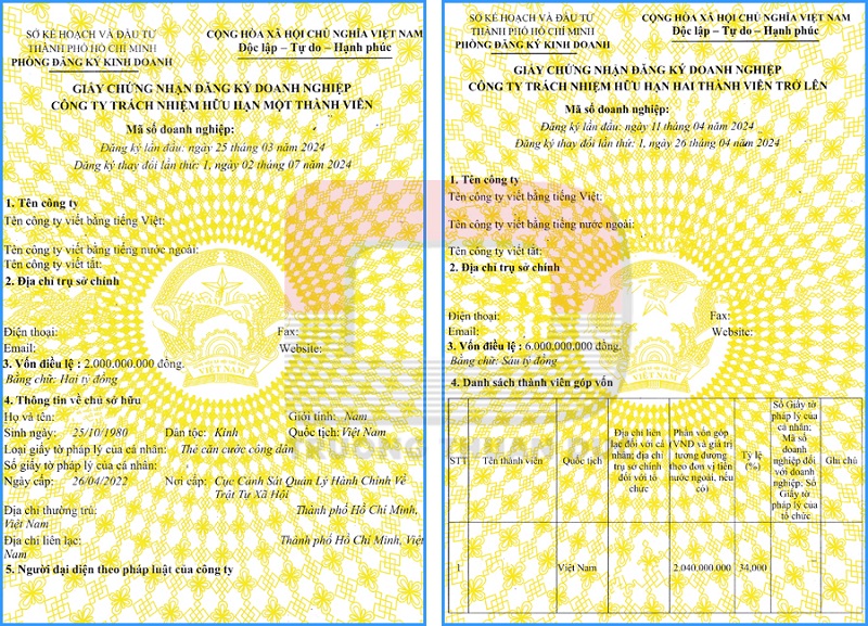 Dịch vụ thay đổi giấy phép kinh doanh Quận 6 Nhanh chóng, chuyên nghiệp